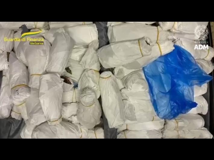 Droga, sequestrati 40 chilogrammi di foglie di khat in Piemonte