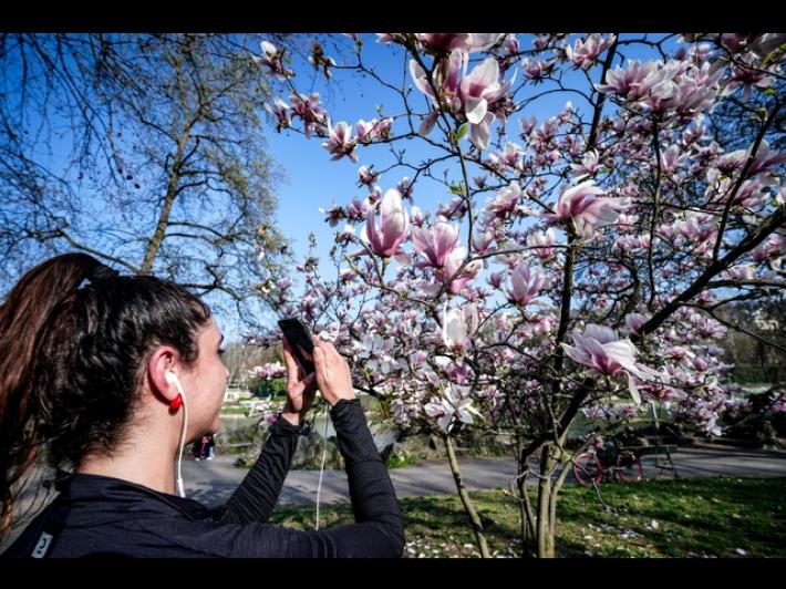 Da domani breve anticipo di primavera,weekend mite e con il sole