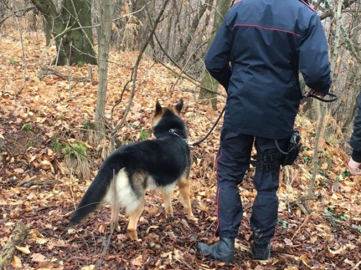 Ragazza morta nei boschi, il 46enne denunciato confessa: "Ero con lei"