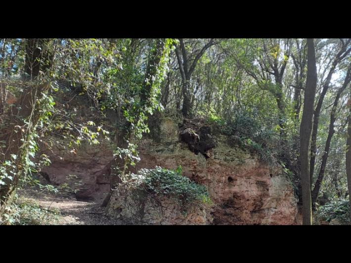 Le ossa  trovate in Val di Susa sono di  Mara Favro, la donna scomparsa nel torinese l'anno scorso