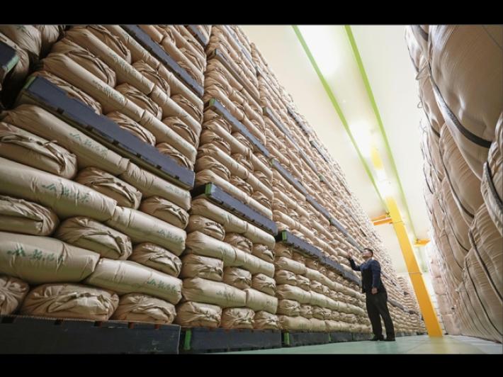 Giappone, i prezzi del riso a Tokyo aumentati del 90% in marzo