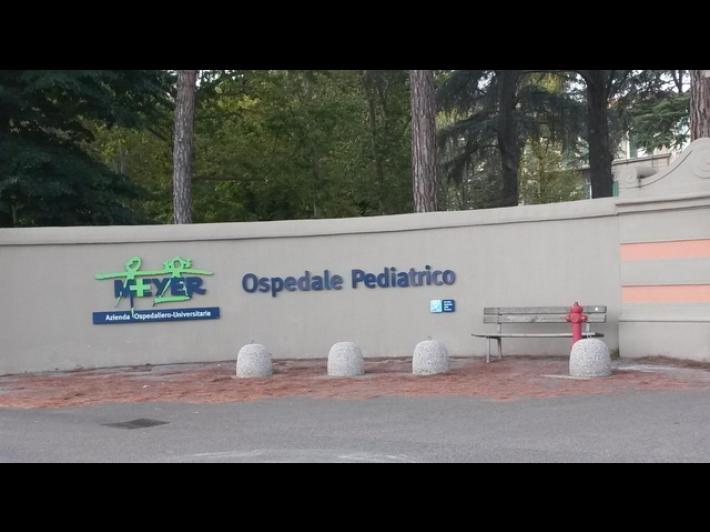 Bimbo di un anno ingoia una pila, in codice rosso in ospedale