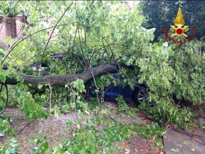 Maltempo in Friuli, decine di interventi Vigili del fuoco