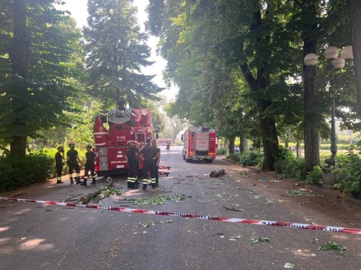 Colpita da un ramo a Cascine Firenze, 23enne in codice rosso