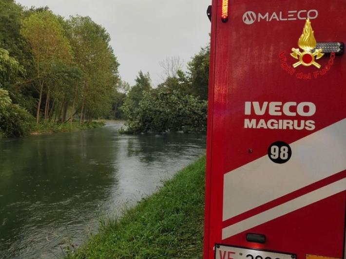 Uccisa dalla caduta di un albero nel Milanese, aperta inchiesta