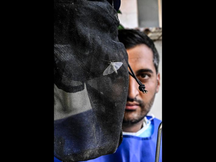 West Nile: un altro morto a Caserta, &egrave; il nono in Italia