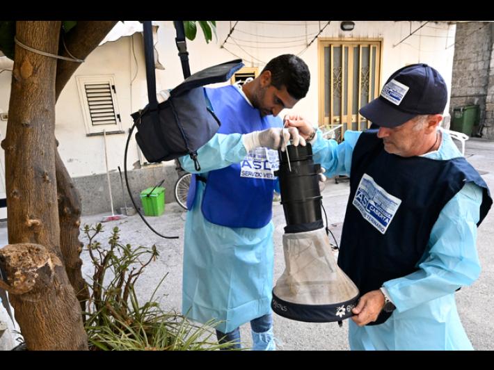 Quinta vittima nel Lazio per West Nile, morto 77enne