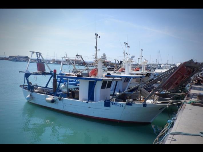 In Salento vanno a pesca di tonni ma abbocca uno squalo