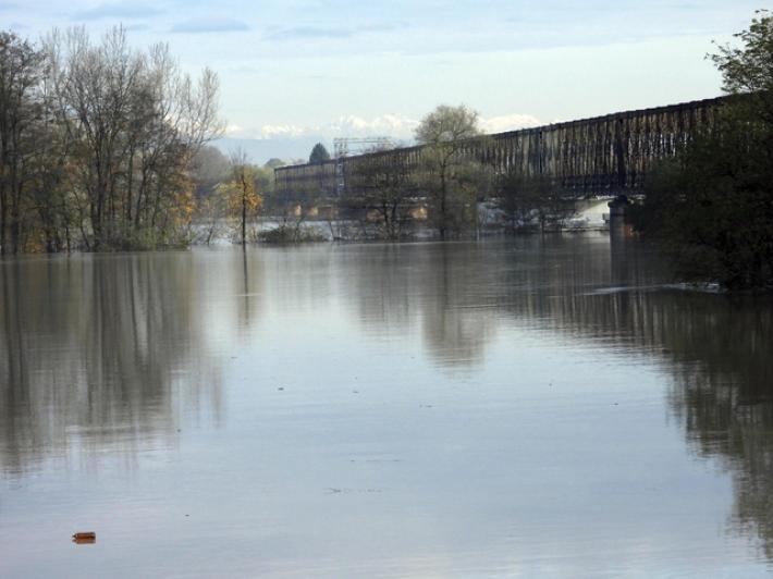 Ragazzo annega nel Po nel Pavese vicino al Ponte della Becca