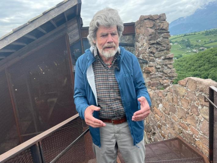 Animalisti contro Messner, 'assurdo che voglia eliminare i lupi'