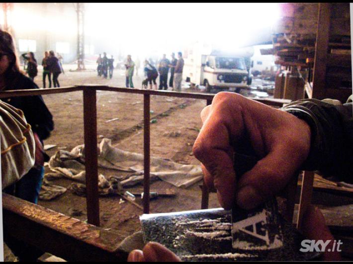 Organizzano rave party in un' area protetta nel Parco del Ticino