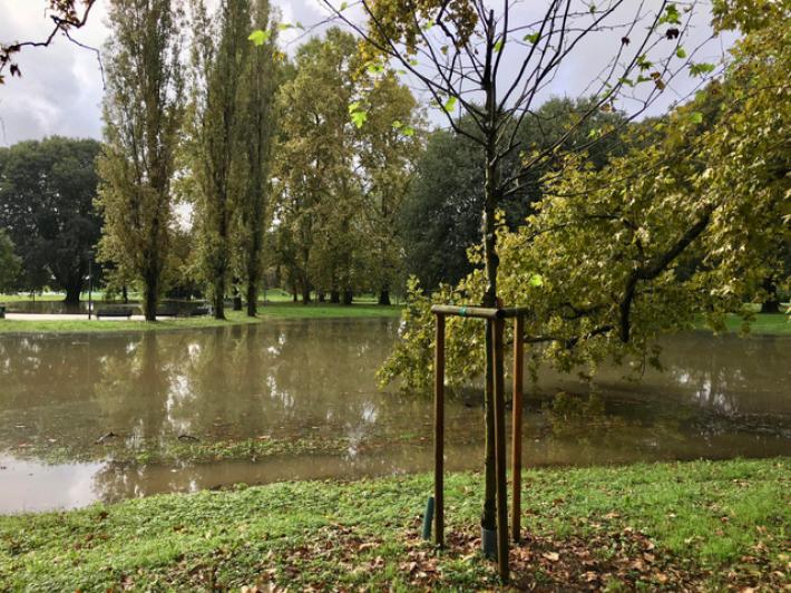 Allerta meteo su Milano, il Comune chiude i parchi