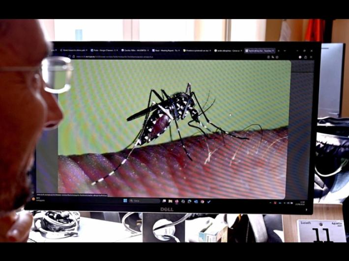 West Nile, un'anziana prima vittima veneta nel Rodigino