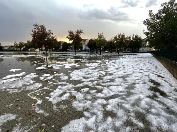 Grandinata nel Vercellese, danni al riso quasi in raccolta