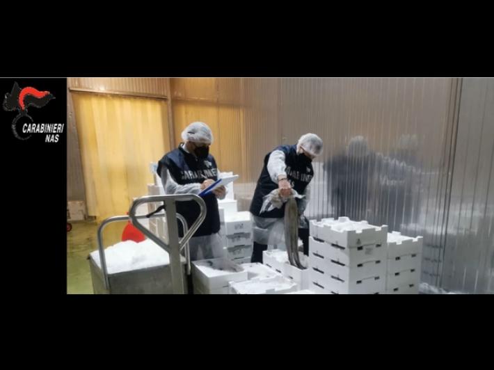 Nas sequestra 1.000 tonnellate di pesce e succhi di frutta