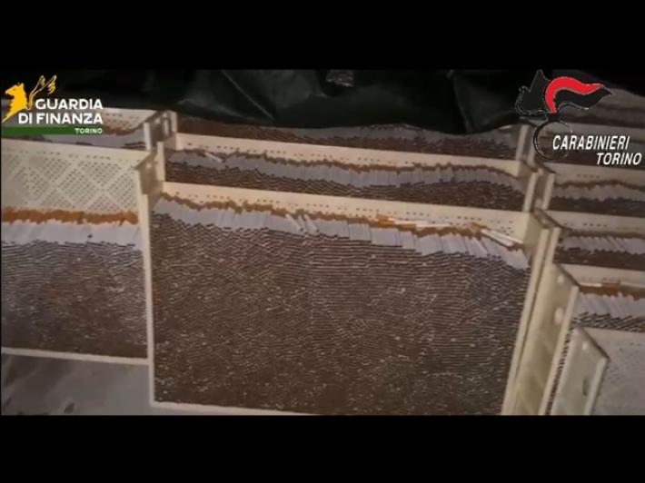 Finanza e Carabinieri sequestrano 250 tonnellate di tabacchi