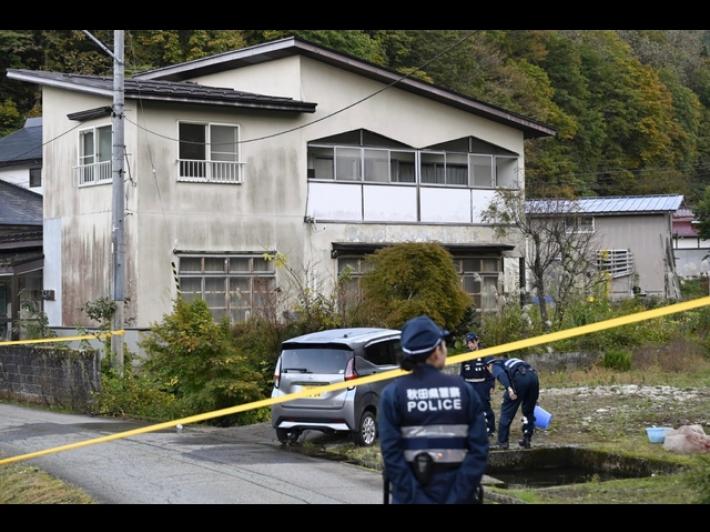 Allarme orsi in Giappone, crescono gli attacchi agli uomini