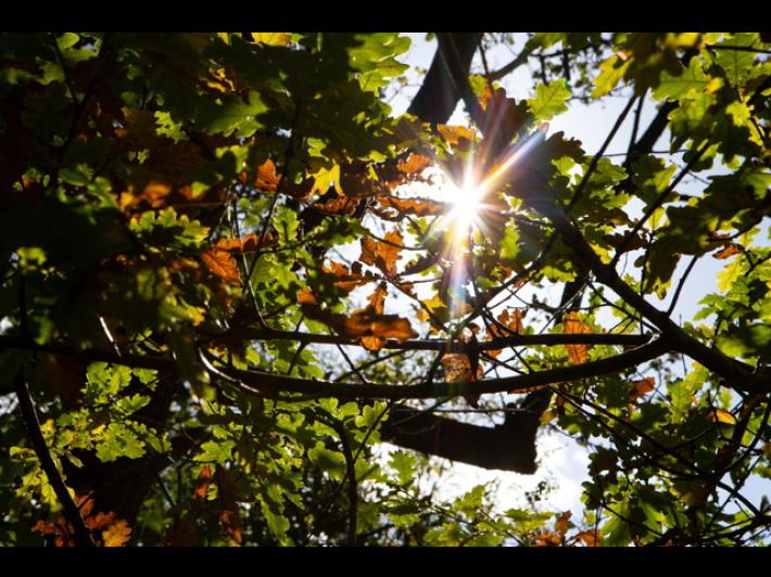 Due giorni di sole e temperature miti, poi torna la pioggia