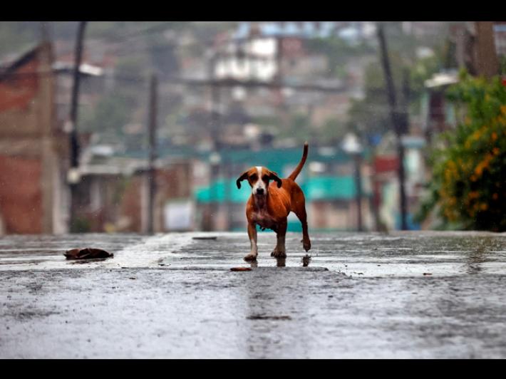 Oltre 20 morti ad Haiti per l'uragano Melissa