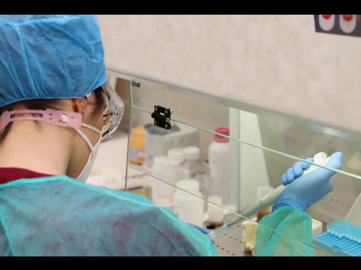 Moglie morta e marito grave, pm Arezzo fa ipotesi antitarlo