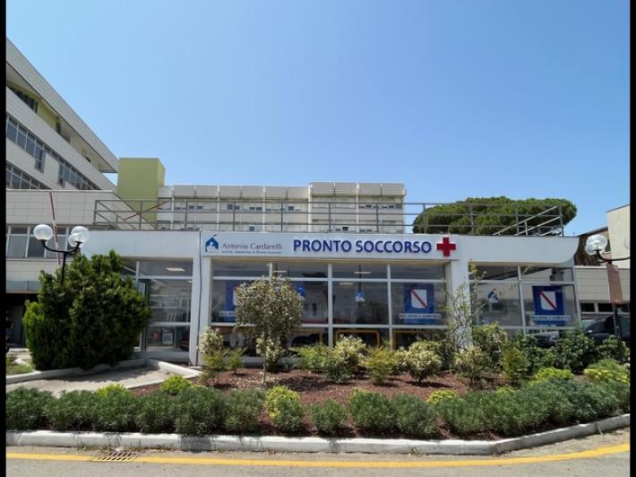 Intossicazione da funghi velenosi, 25 casi in 5 giorni a Napoli