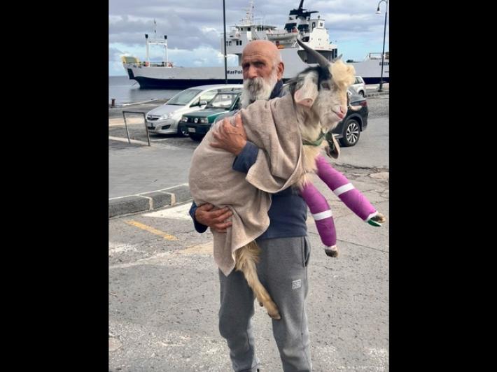Stromboli, pescatore trova capretto con fratture e lo adotta