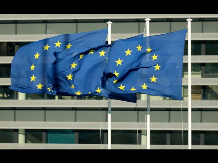 Ue, Reich? Anche parole folli sono libert&agrave; espressione