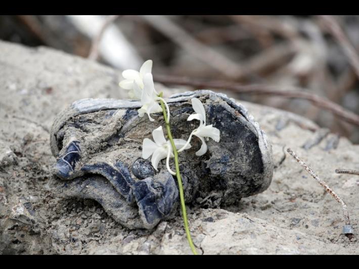 Birmania: raid aereo della giunta su un ospedale, almeno 31 morti