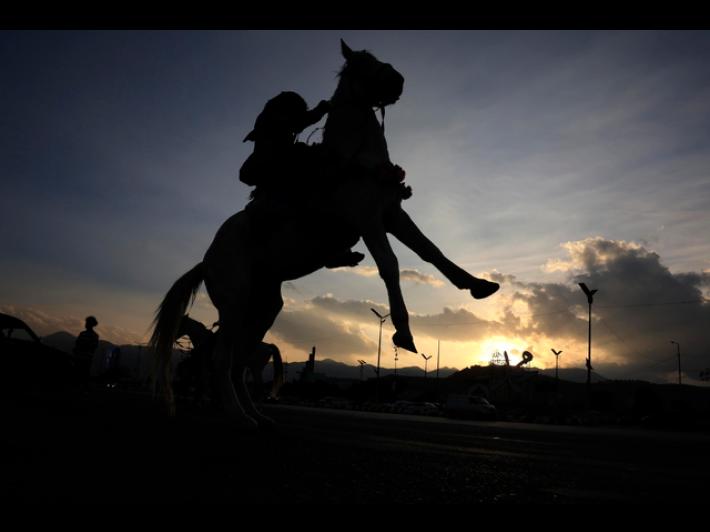 Cade dal cavallo, morta dopo due giorni di agonia