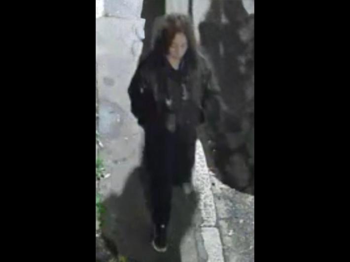 Trovata morta in un cortile a Milano: diffuse le immagini per identificarla 