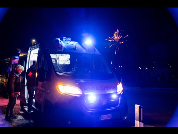 Botti, Lav salva sei cani a Firenze, Prato e Lucca e cerca 50 dispersi