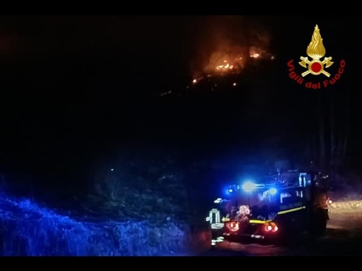 Incendio boschivo di vaste proporzioni in Friuli, vigili del fuoco al lavoro