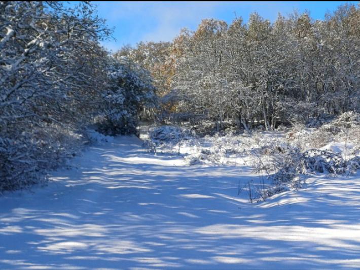 Freddo e neve in Sardegna, scatta l'allerta meteo