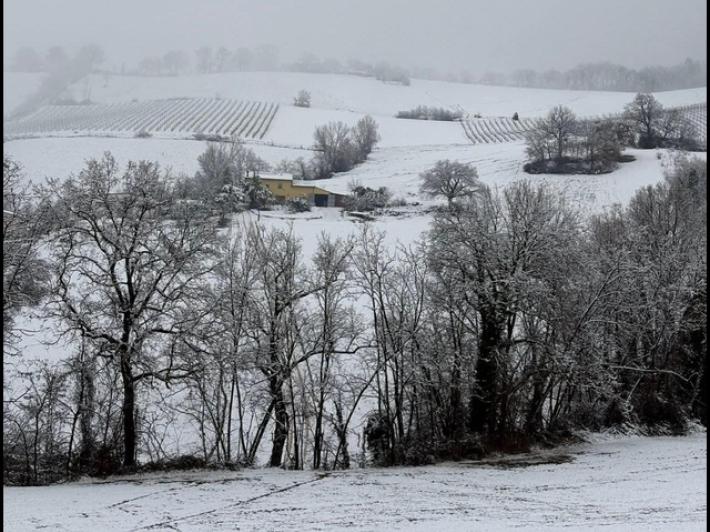 Maltempo, neve abbondante e disagi nelle aree interne delle Marche