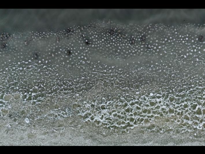 Allerta gialla per temperature estreme in tutta l'Emilia-Romagna