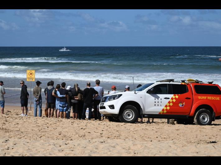 Uno squalo aggredisce un ragazzo nel porto di Sydney, &egrave; gravissimo
