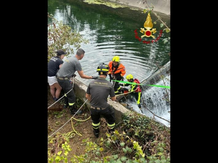 Si tuffa per salvare il cane, uomo annega in un canale del Mantovano