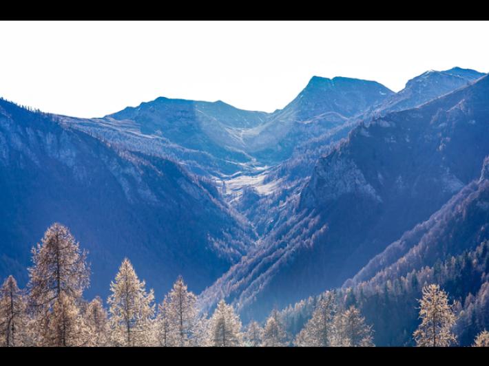 Regione Piemonte, 12 milioni per la gestione sostenibile dei boschi