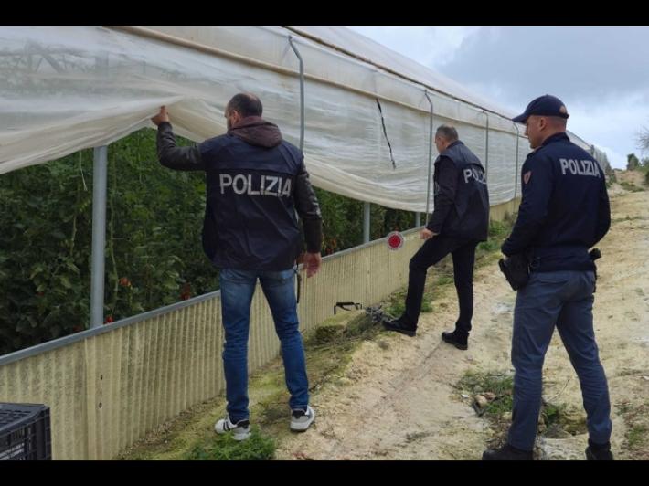 Truffa con azienda agricola fittizia, conclusione indagini per 35