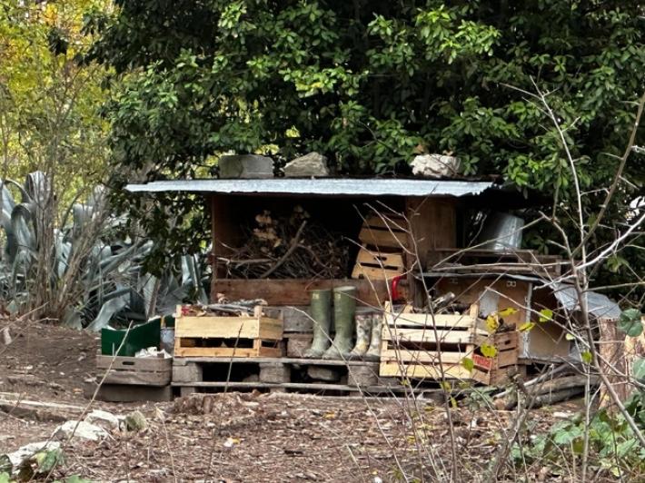 Famiglia nel bosco: perito di parte, i bimbi tornino a casa al pi&ugrave; presto