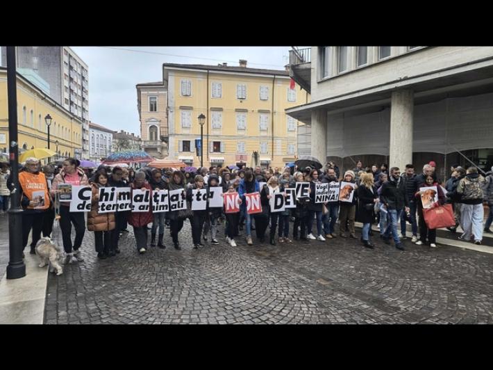 Cane restituito a chi lo maltrattava, protesta lungo le vie di Gorizia
