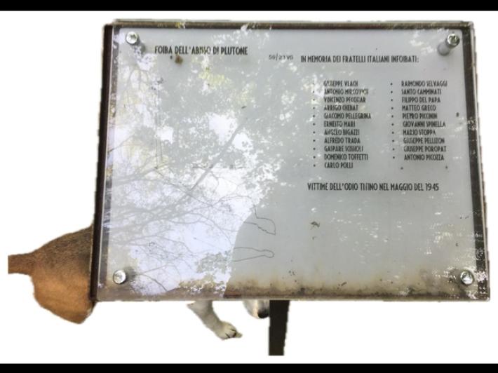 Scomparsa la targa con i nomi delle vittime davanti alla foiba triestina