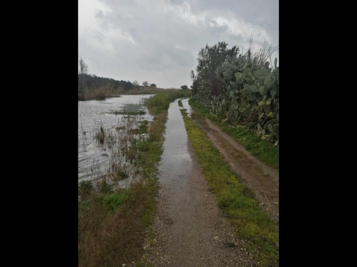 Maltempo, blackout dopo fulmine e allagamenti nel Foggiano
