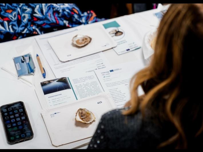 Ateneo Udine con Slovenia e Croazia per la salvaguardia dell'Adriatico