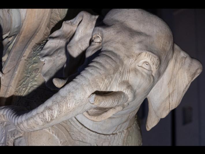 Danneggiata la statua dell'elefantino del Bernini a Roma, 'indegno sfregio'