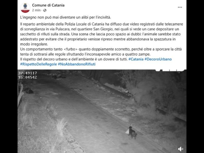 Cane addestrato a lasciare sacchetto rifiuti per eludere videosorveglianza