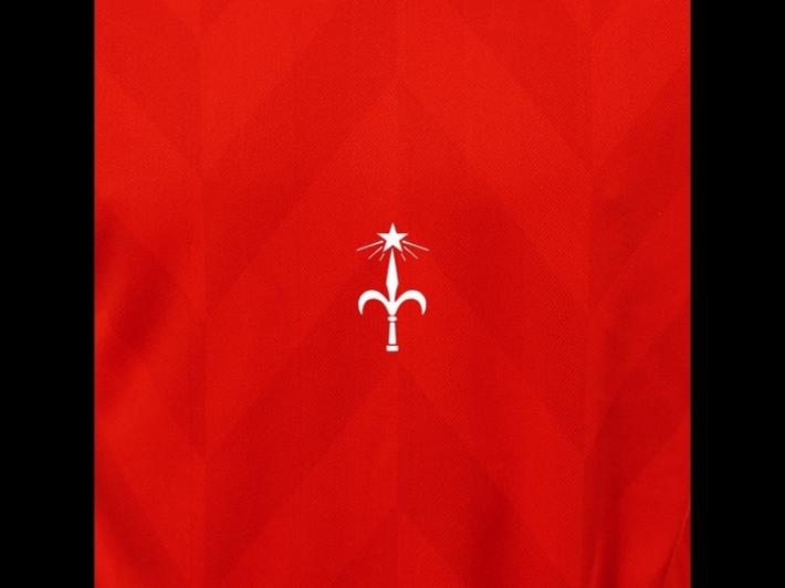 Triestina Calcio, nessun legame nuova propriet&agrave; con precedente dirigenza