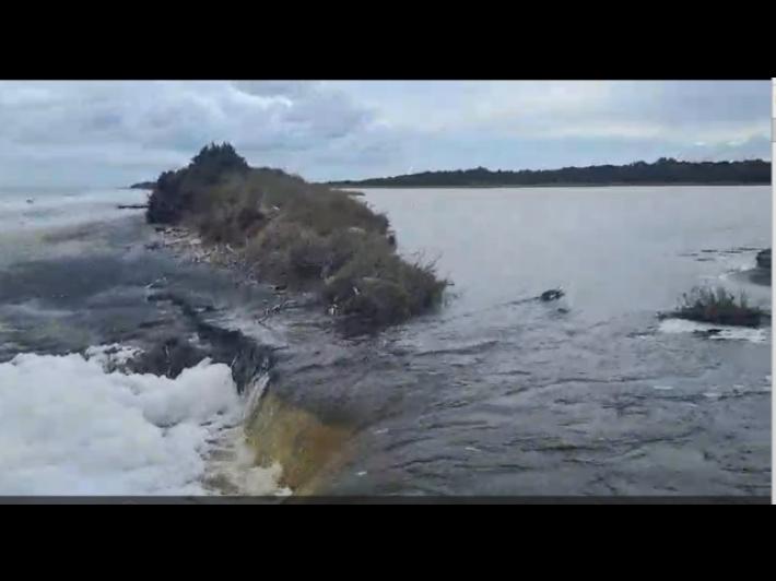 Allarme Wwf e Comune Vernole, Oasi Cesine in Salento a rischio