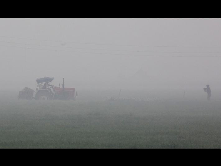 Tempo stabile e asciutto grazie all'Anticiclone ma torna la nebbia