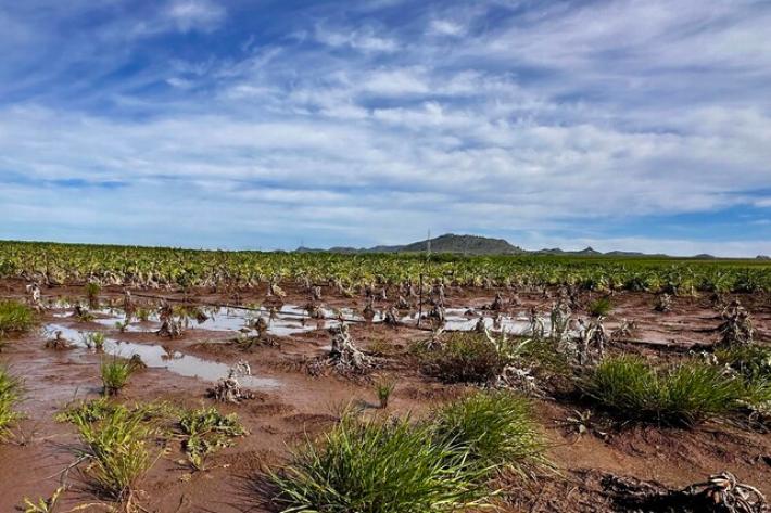 L'Ue propone stop dei dazi sui fertilizzanti per un anno